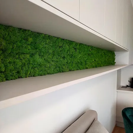 Zoku S Private Garage Parking Free